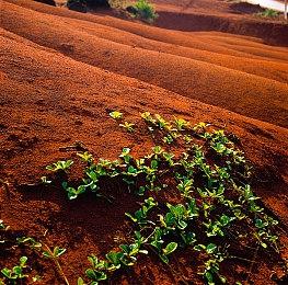 互动影游《我为情狂》Steam页面上线 发售日待定