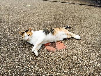 《最终幻想16》仍可能继续制作DLC 但短期内不会